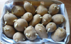 Consommation: Saisie de 15 tonnes de pommes de terre avariées par brigade de Thiaroye