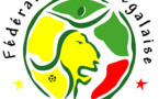 Equipementier des lions du Sénégal: Un sponsor émirati pour remplacer Puma