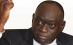 Nouvelles plaintes contre les détracteurs de Frank Timis, affaire Ndiaga Diouf: Me El Hadj Diouf va flinguer