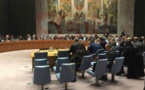 Le groupe de travail du Conseil de Sécurité sur les Operations de Maintien de la Paix : genèse et mandat