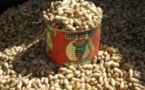 La SONACOS obtient 45 milliards pour la commercialisation d’arachide