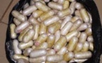 Italie: Un sénégalais arrêté avec 37 boulettes de cocaïne et d’héroïne