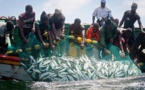 Afrique: La vice-présidente de la CAOPA relève une absence  de transparence dans les accords de pêche