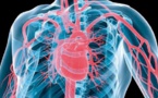 A la rencontre des malades cardiovasculaires : Cri de cœur meurtri des damnés du cœur