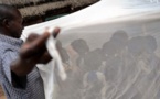 Le Sénégal table sur la "pré-élimination" du paludisme d’ici à 2020
