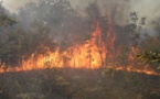 Feux de brousse à Thiés: 881 hectares devastés