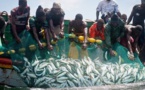 40 pêcheurs sénégalais expulsés de la Mauritanie
