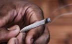Touba : Sexagénaire, fumeur de chanvre et multirécidiviste