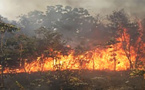 Ranch de Dolly: 4310 Hectares ravagés par un incendie