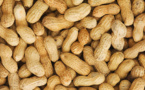 AGRICULTURE: Proposition pour le maintien du prix de l'arachide au producteur à 210 FCFA