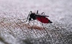 DAHRA: Deux cas de dengue confirmés( Médecin-chef)