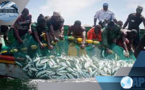 Gestion des pêches: Oumar GUÈYE veut s'inspirer du modèle américain