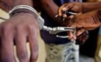 Blanchiment de capitaux : Des Sénégalais et des Nigérians arrêtés
