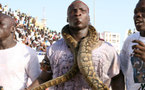 Serpent au stade : Ama Baldé suspendu pour un an