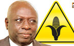 Jacques Diouf cogne sur la politique agricole du régime : « Le Sénégal n’a pas atteint l’autosuffisance alimentaire»