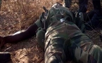 Cinq disparus puis 15 morts en Casamance : L’armée prise au piège