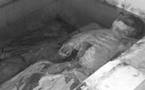 SCAT URBAM: Un ancien garde du corps retrouvé mort dans sa salle de bain.