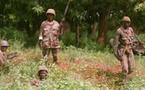 ARMEE SENEGALAISE: Le gouvernement fait tout pour libérer les soldats détenus par le MFDC (ministre)