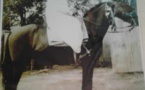 Biographie Ndiaw Macodou DIOP