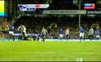 Doublé de Demba Ba : Everton - Newcastle (2-2)