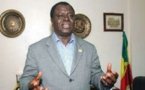 Moustapha Tall, opérateur économique : « Si Macky Sall veut combattre le blanchiment de l’argent sale, il doit commencer par le riz »
