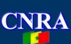 Cnra : Sokhna Benga, Ibrahima Mbaye Sopé et Jean Meïssa Diop parmi les membres