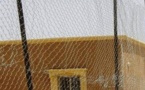 Trafic de grâces présidentielles : Le régisseur de la prison de Louga et deux gardes pénitentiaires écroués