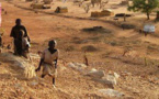 [Audio] Tchad: 15 Sénégalais arrêtés et placés en garde-à-vue