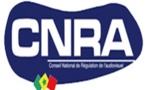 Propagande déguisée : Le Cnra rappelle à l’ordre la Tfm et Youssou Ndour