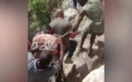 [Video] Mort du président en Haïti : la population traque et livre à la police deux suspects