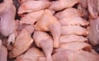 Scandale sur la viande de poulet congelé : Deux laboratoires affirment la présence d’Adn de porc