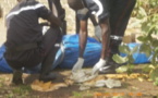 Tambacounda: le gouverneur annonce des mesures pour arrêter la série de meurtres sur des malades mentaux