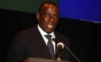 Cheikh Tidiane Gadio nommé envoyé spécial de l'OCI en Centrafrique