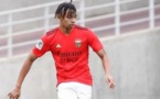 Equipe nationale : le père de Cher Ndour, jeune pépite de Benfica, lance un appel à la FSF