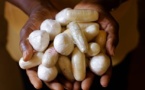Cour d'Assises de Dakar: Dix ans de travaux forcés pour l’accusé qui avait avalé 115 boulettes de cocaïne