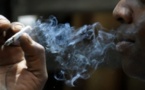Gadaye, Fann Hock, Point E, Mermoz, Almadies: Ces nouveaux sanctuaires de fumeurs de chanvre