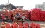 Flambée des prix de l'oignon à Touba: l'ascosen accuse...