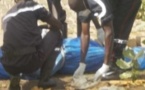 Un supporter de Ama Baldé, Ibrahima Barry roué de coups par les supporters de Malick Niang  jusqu'à sa mort 