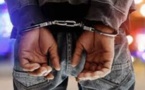 HLM : le lutteur Saloum-Saloum arrêté pour trafic de cocaïne et viol sur une de ses clientes