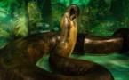 VIDEO: Le Titanoboa, le plus gros serpent ayant jamais existé sur Terre