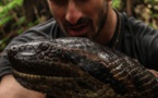 [Vidéo] Il va se laisser manger vivant par un anaconda