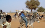 Bientôt un championnat national de courses de Mbaam (ânes) au Sénégal