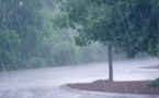 Hivernage : le Sénégal se réveille sous la pluie ce mercredi, ce que prévoit la météo