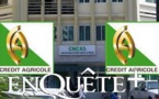 CAISSE NATIONALE DE CRÉDIT AGRICOLE DU SÉNÉGAL : La banque qui fabrique des  milliardaires