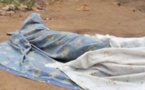 Meurtre et CBV à ascendant: Mamadou tue sa grand-mère et fracture le bras de sa mère à l'aide d'un pilon