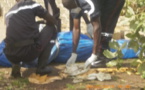 Horreur à Mbacké Pallène : Abdou Dianka séquestre et viole un garçon de 15 ans avant de le tuer