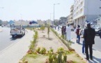 Dakar ville verte: Diène Farba Sarr annonce l’accélération du projet