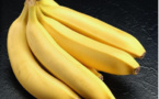 La banane a rapporté 6,5 milliards de FCFA aux producteurs en 2015
