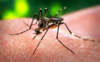 Virus Zika: L'OMS s'inquiète de la propagation alarmante