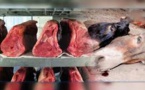 Arrêté dans l’affaire de la viande d’âne vendue: Babacar Sarr fait de graves révélations